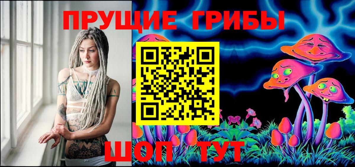 Галлюциногенные грибы Psilocybine cubensis  Вход с VPN  Галлюциногенные грибы мухоморы  Нарткала 