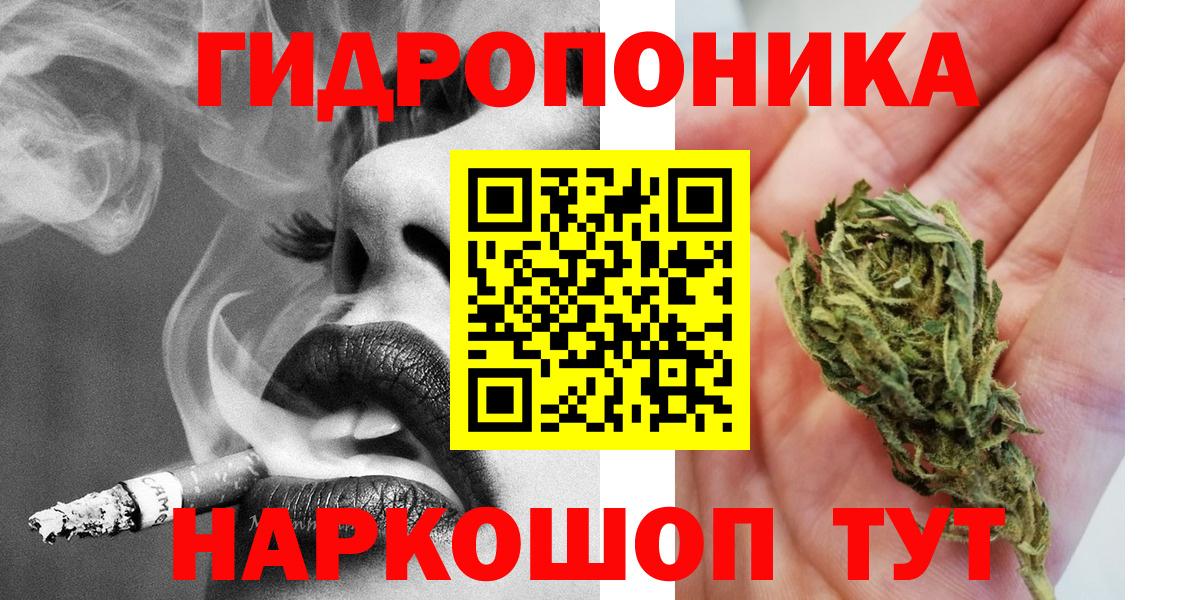 Канабис сатива  МАРИХУАНА план  Нарткала  Канабис гибрид  Бошки марихуана Amnesia  Вход с VPN 